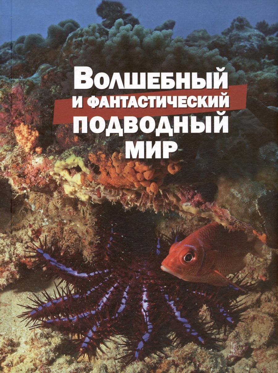 Обложка книги "Климов: Волшебный и фантастический подводный мир"