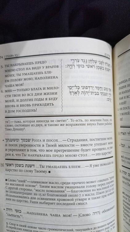 Фотография книги "Книга псалмов (Тегилим)"
