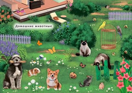 Фотография книги "Книга с наклейками и заданиями "Мои первые животные""