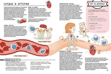 Фотография книги "Книга с секретами. Секреты тела человека"