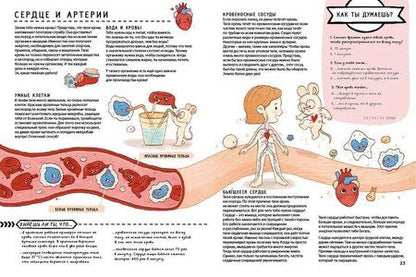 Фотография книги "Книга с секретами. Секреты тела человека"