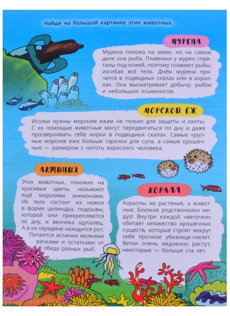 Фотография книги "Книжка-панорамка "Бескрайний океан""