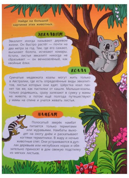 Фотография книги "Книжка-панорамка "Природа Австралии""
