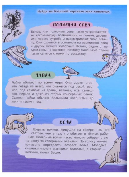 Фотография книги "Книжка-панорамка "Снежный Север""