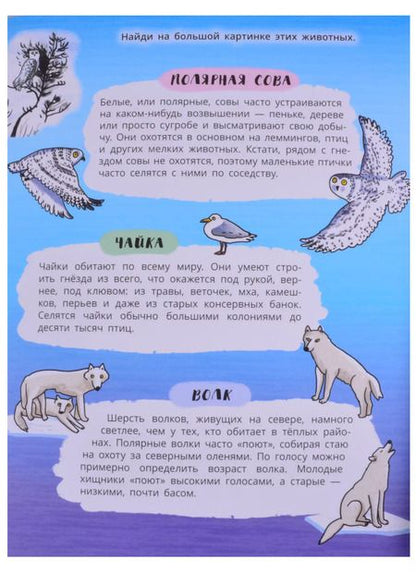 Фотография книги "Книжка-панорамка "Снежный Север""