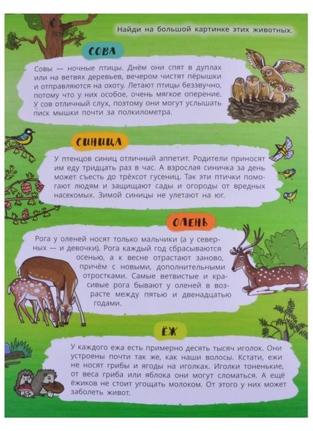 Фотография книги "Книжка-панорамка "Зеленый лес""