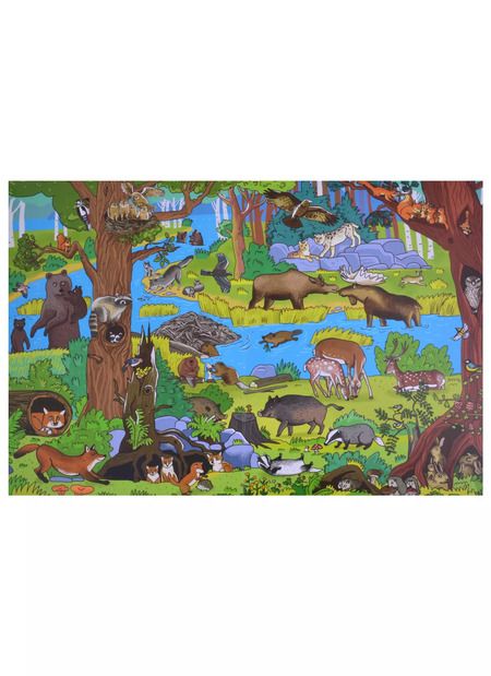 Фотография книги "Книжка-панорамка "Зеленый лес""