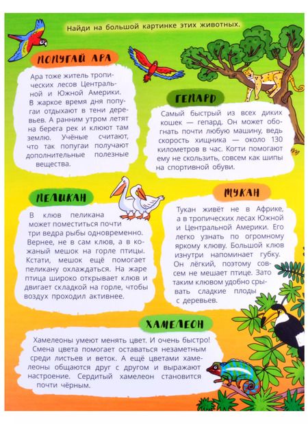 Фотография книги "Книжка-панорамка "Жаркие страны""