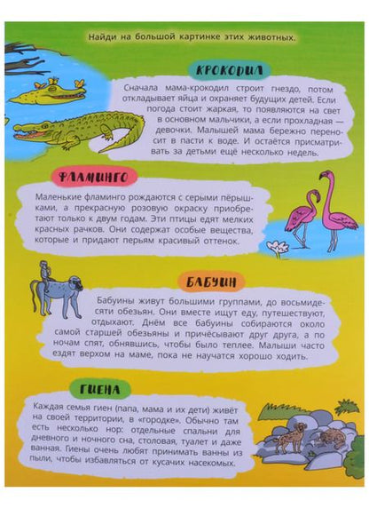 Фотография книги "Книжка-панорамка "Жаркие страны""