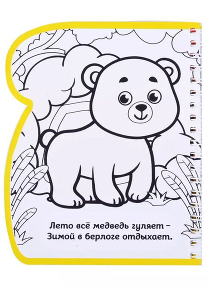 Фотография книги "Книжка-раскраска "Рисуем водой. Где мой дом?""