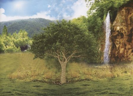 Фотография книги "Книжка 250 наклеек «Животные со всего света»"