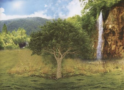 Фотография книги "Книжка 250 наклеек «Животные со всего света»"