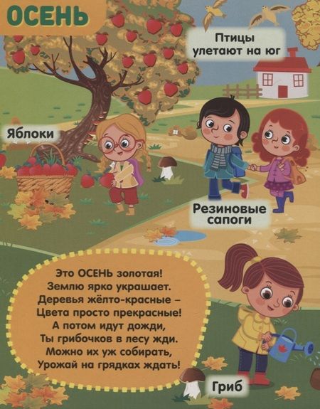 Фотография книги "Книжка картонная с 3 окошками «Времена года»"