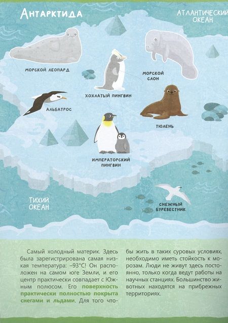 Фотография книги "Книжка с наклейками «Животные нашей планеты»"