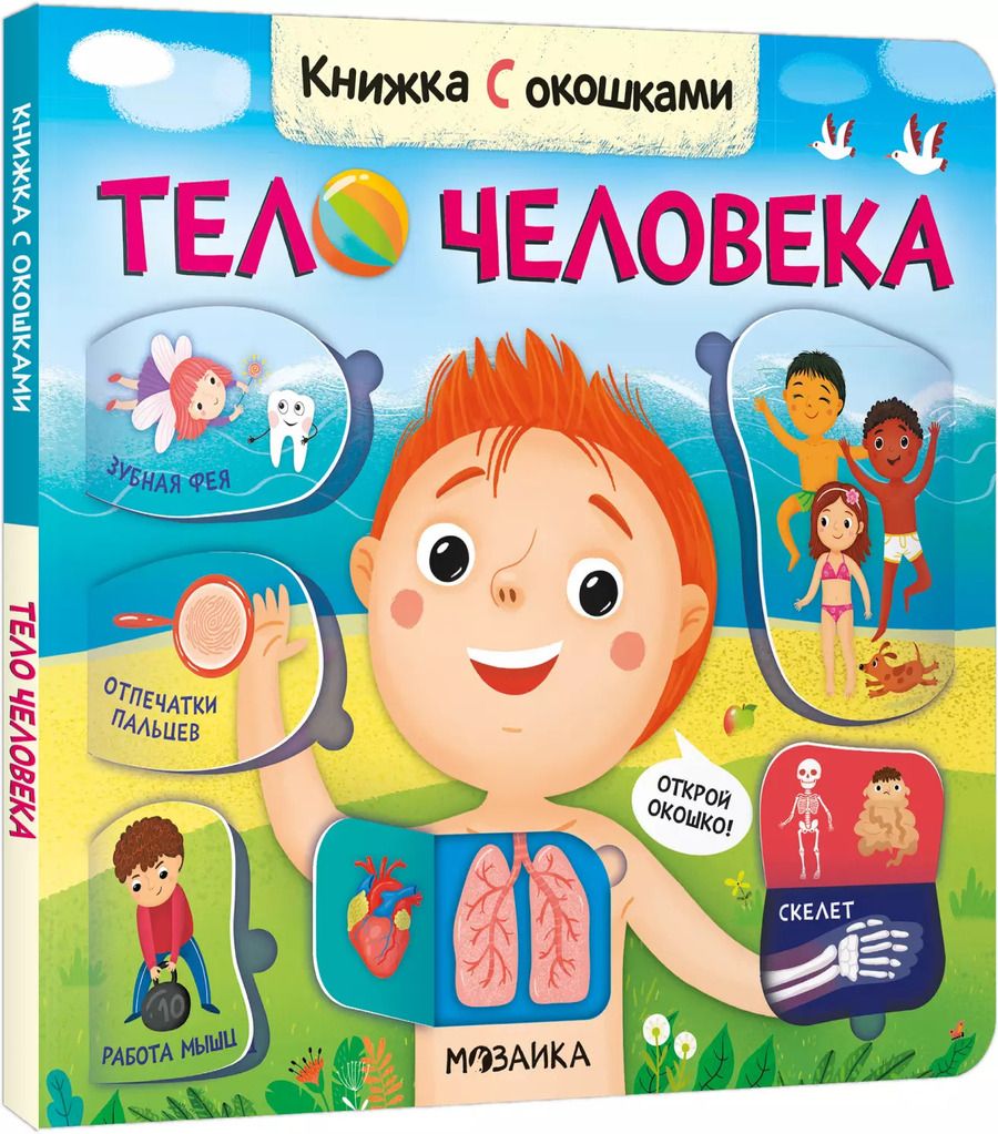 Обложка книги "Книжка с окошками. Тело человека"
