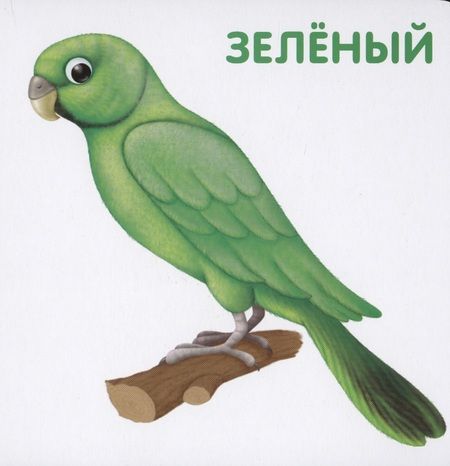 Фотография книги "Книжки-картонки. Цвета в природе"