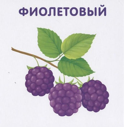 Фотография книги "Книжки-картонки. Цвета в природе"