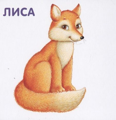 Фотография книги "Книжки-картонки. Животные и детеныши"