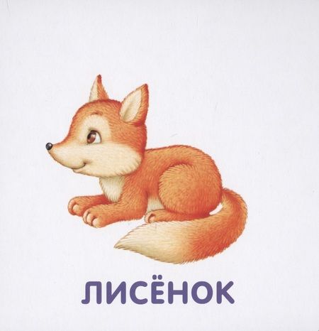 Фотография книги "Книжки-картонки. Животные и детеныши"