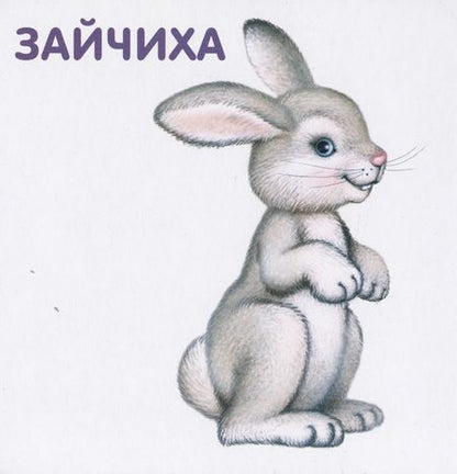 Фотография книги "Книжки-картонки. Животные и детеныши"