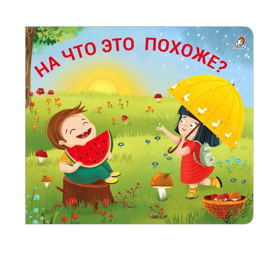 Обложка книги "Книжки - задвижки. На что это похоже?"