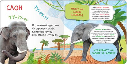 Фотография книги "Книжки с окошками. Кто где живет?"