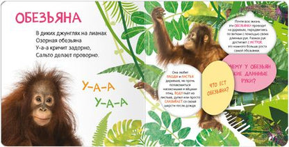 Фотография книги "Книжки с окошками. Кто где живет?"