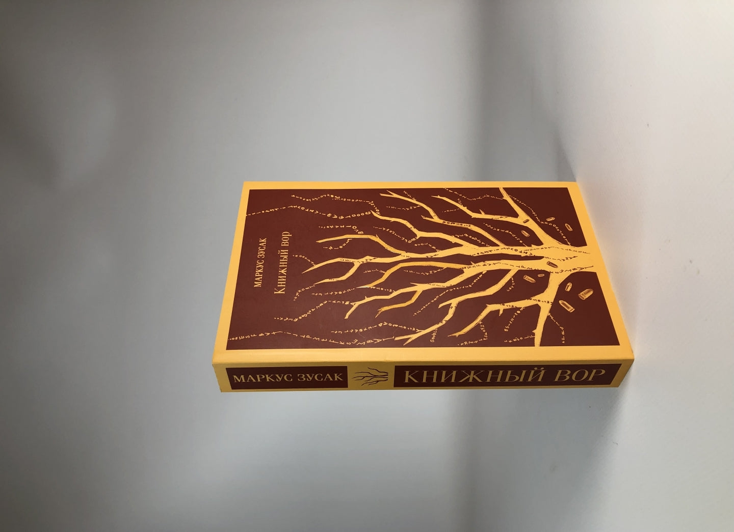 Фотография книги "Книжный вор"