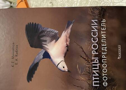 Фотография книги "Коблик, Михайлов: Птицы России. Фотоопределитель"