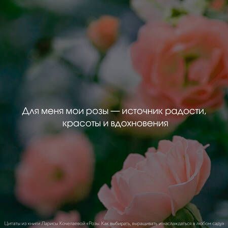 Фотография книги "Кочелаева: Розы. Как выбирать, выращивать и наслаждаться розами в любом саду"