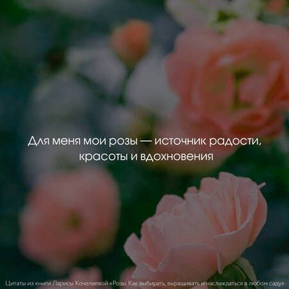 Фотография книги "Кочелаева: Розы. Как выбирать, выращивать и наслаждаться розами в любом саду"