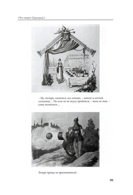 Фотография книги "Кочукова, Кочуков: Россия и Балканский кризис 1875-1878 гг. Сатирическая графика в "журнальных войнах""
