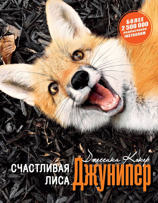 Обложка книги "Кокер: Счастливая лиса Джунипер"