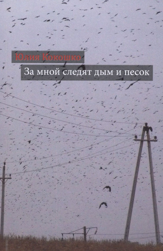 Обложка книги "Кокошко: За мной следят дым и песок"