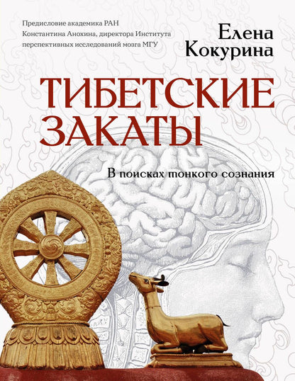 Обложка книги "Кокурина: Тибетские закаты. В поисках тонкого сознания"