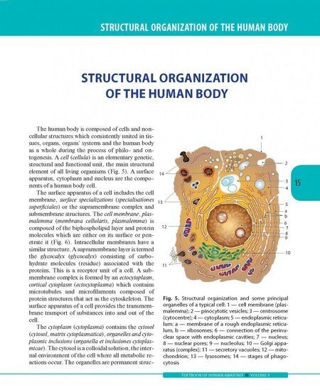 Фотография книги "Колесников, Никитюк, Клочкова: Textbook of Human Anatomy. In 3 vol. Volume 1. Locomotor apparаtus"