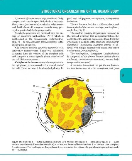 Фотография книги "Колесников, Никитюк, Клочкова: Textbook of Human Anatomy. In 3 vol. Volume 1. Locomotor apparаtus"
