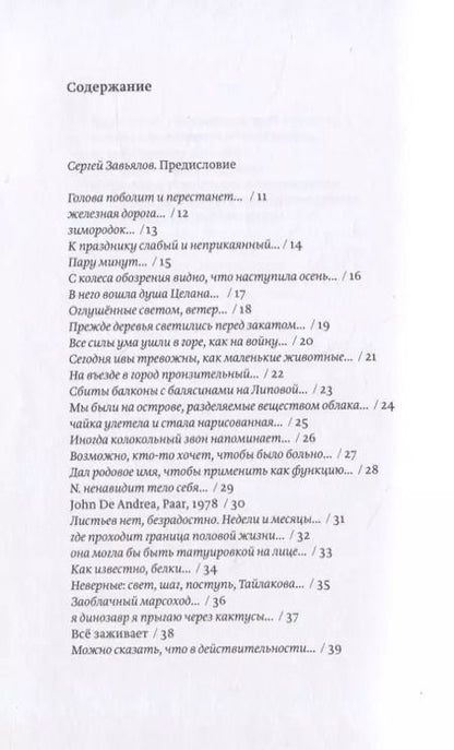 Фотография книги "Колесо обозрения"
