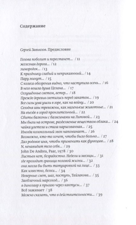 Фотография книги "Колесо обозрения"