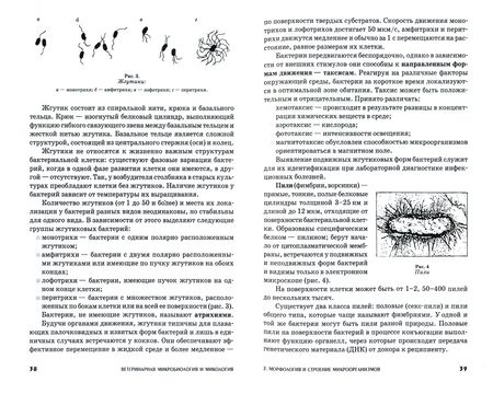 Фотография книги "Колычев, Госманов: Ветеринарная микробиология и микология. Учебник"