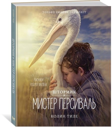Фотография книги "Колин Тиле: Штормик и мистер Персиваль"