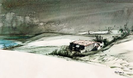 Фотография книги "Колин Тиле: Штормик и мистер Персиваль"