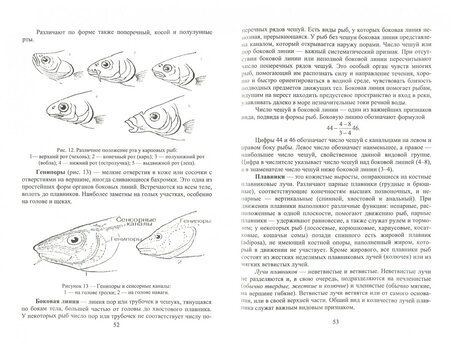 Фотография книги "Комлацкий, Комлацкий, Величко: Рыбоводство. Учебник"