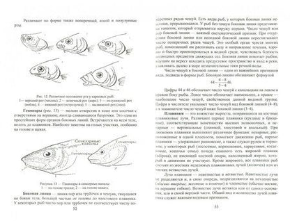 Фотография книги "Комлацкий, Комлацкий, Величко: Рыбоводство. Учебник"