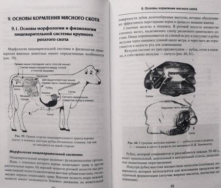 Фотография книги "Комлацкий, Куликова, Щукина: Технология производства говядины. Учебное пособие. ФГОС"