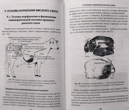 Фотография книги "Комлацкий, Куликова, Щукина: Технология производства говядины. Учебное пособие. ФГОС"