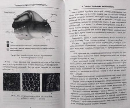 Фотография книги "Комлацкий, Куликова, Щукина: Технология производства говядины. Учебное пособие. ФГОС"