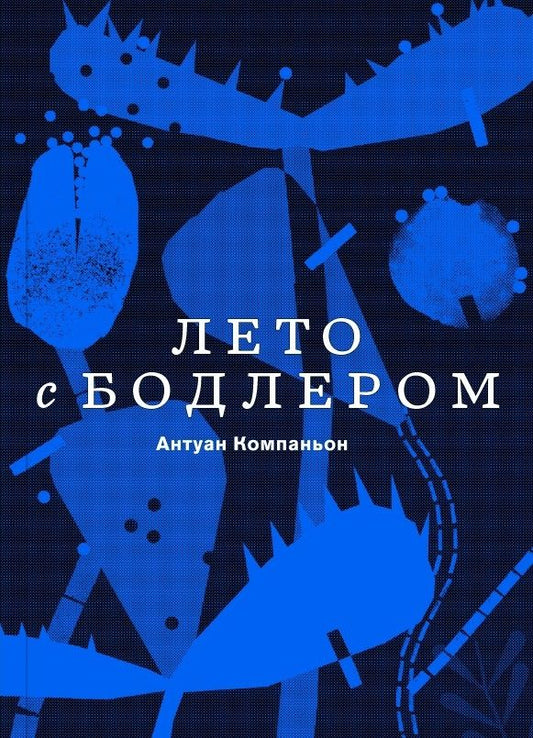 Обложка книги "Компаньон: Лето с Бодлером"