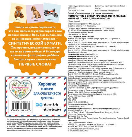 Фотография книги "Комплект из 6 супер-прочных мини-книжек "Первые слова для для мальчиков" (комплект из 6 книг)"