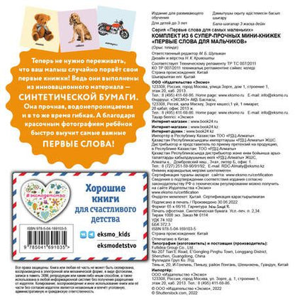 Фотография книги "Комплект из 6 супер-прочных мини-книжек "Первые слова для для мальчиков" (комплект из 6 книг)"